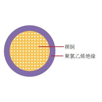 AVS日標汽車線