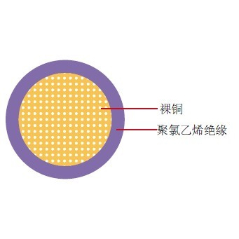 CAVS日標汽車線